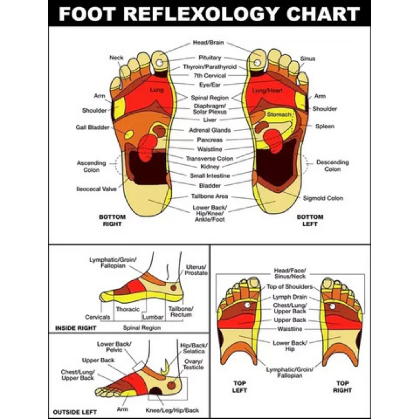 Lido ReflexStep Acupressure Massage Slippers